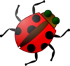 Cartoon Ladybug Clip Art